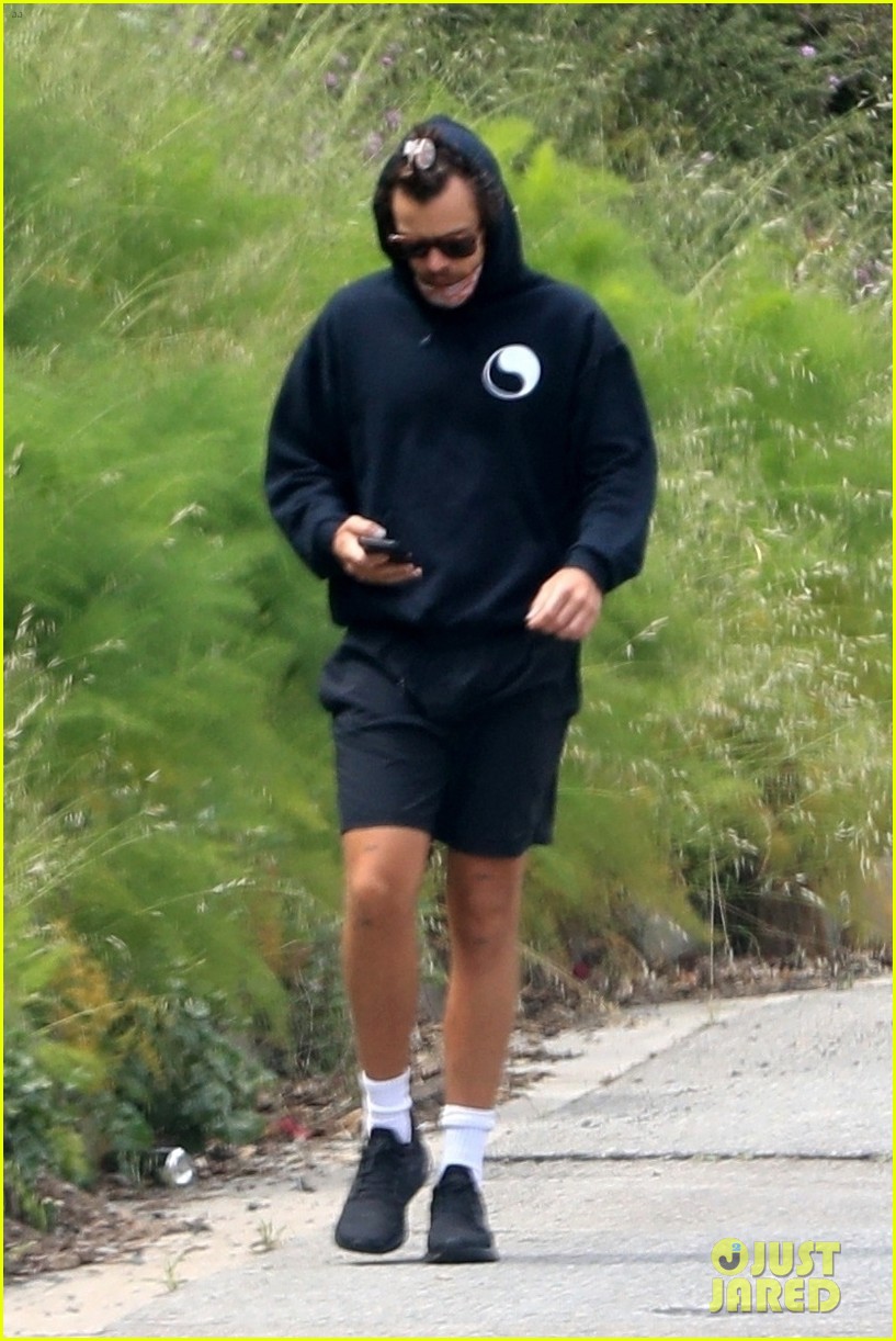 Harry Styles Practices Social-Distance While Out on Solo Walk | Photo ...