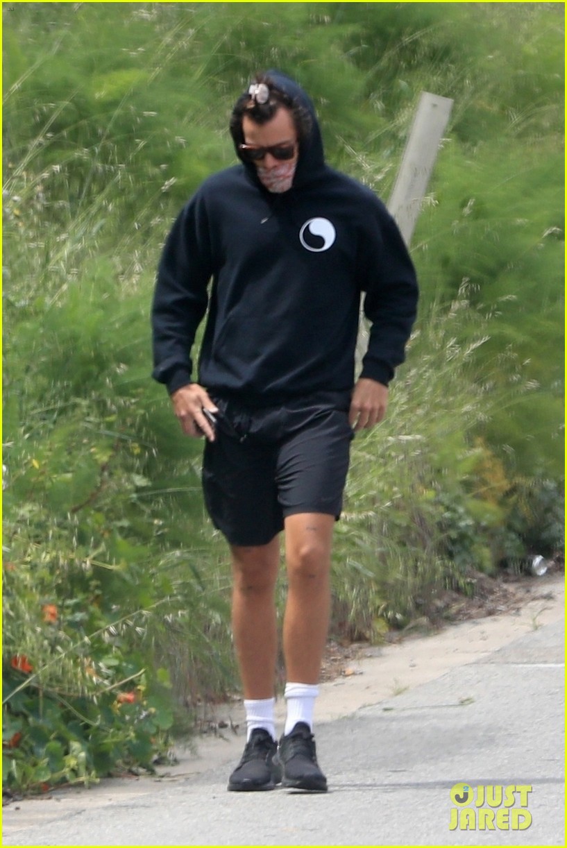 Full Sized Photo of harry styles goes for walk after bumping into ...