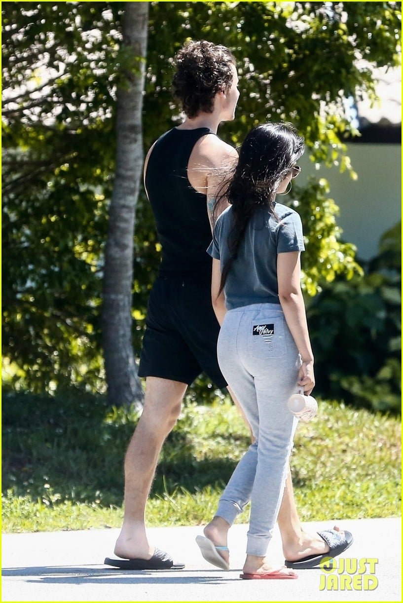 See the Latest Shawn Mendes & Camila Cabello Walking Photos! Photo