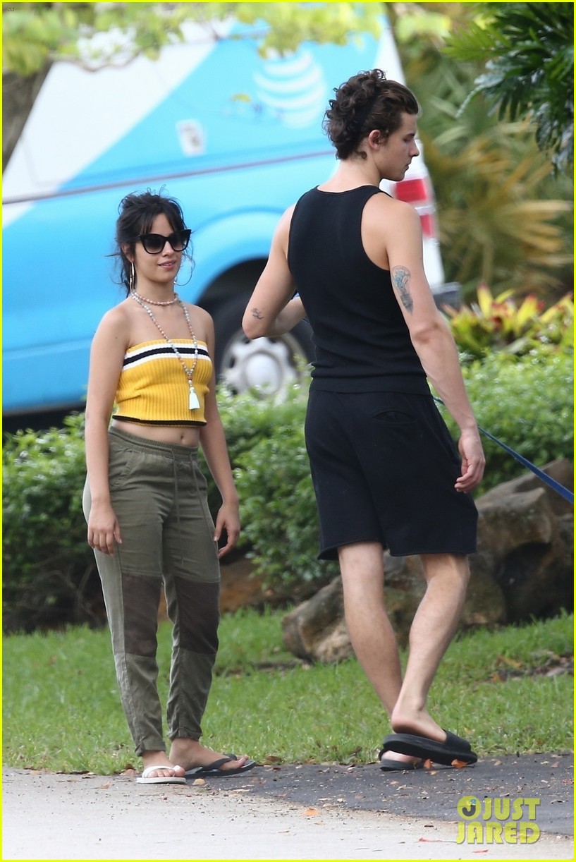 Camila Cabello Goes for a Walk With Her Dog Thunder & Boyfriend Shawn