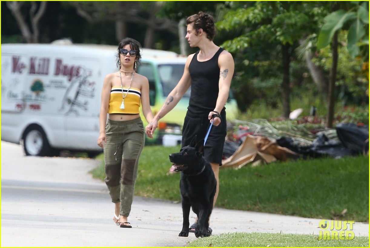 Full Sized Photo of shawn mendes camila cabello walking photos 13
