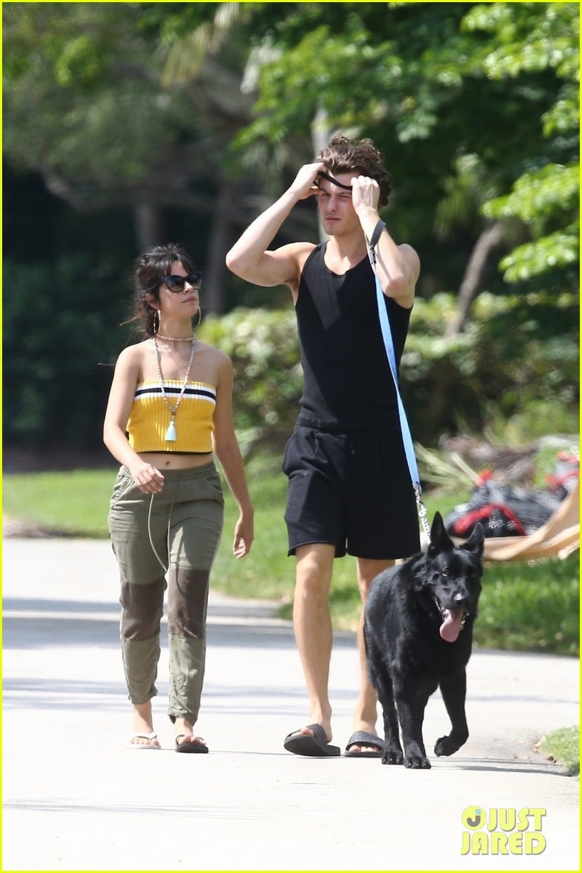 Camila Cabello Goes for a Walk With Her Dog Thunder & Boyfriend Shawn