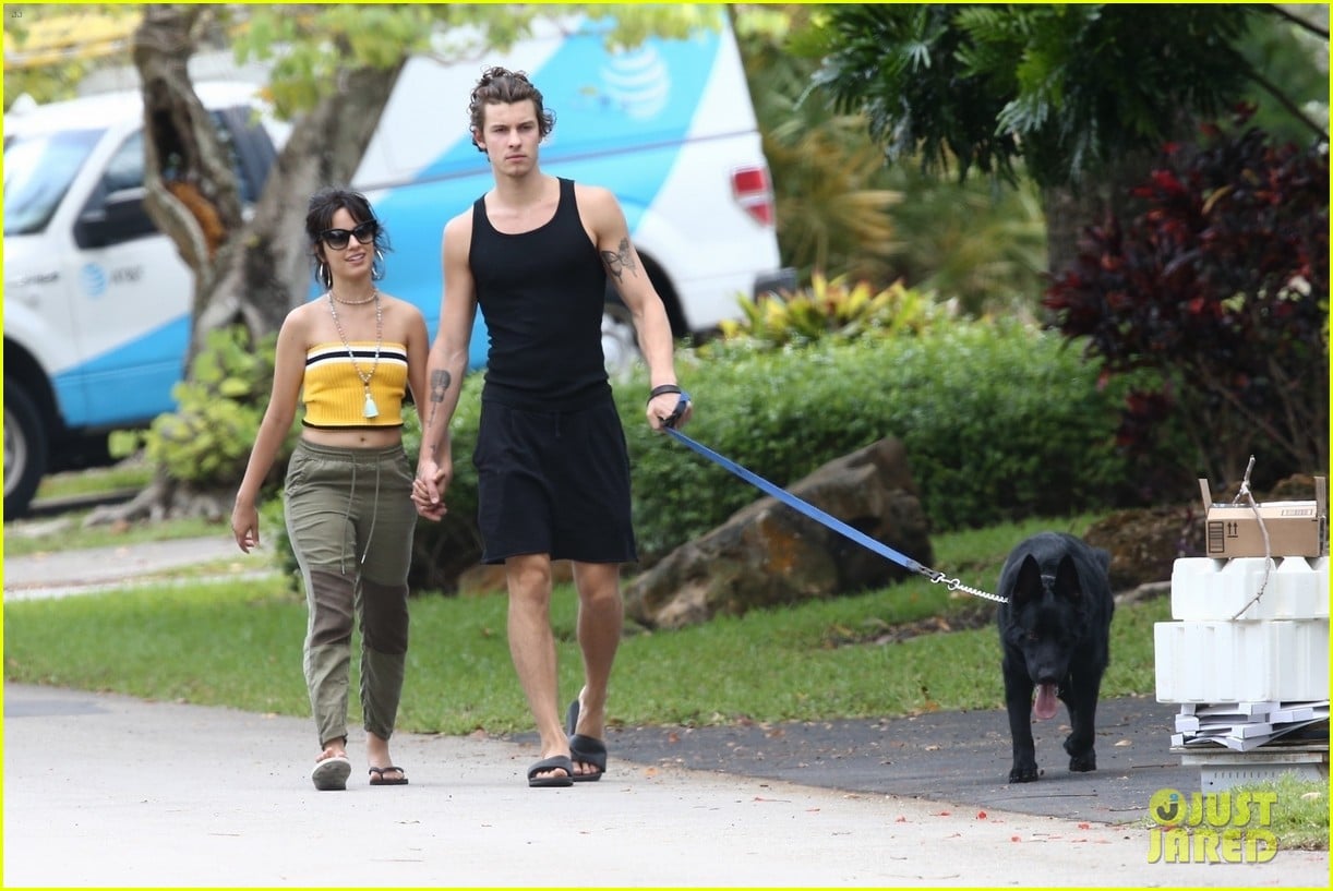 Camila Cabello Goes for a Walk With Her Dog Thunder & Boyfriend Shawn