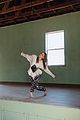 joey king instyle mexico 13