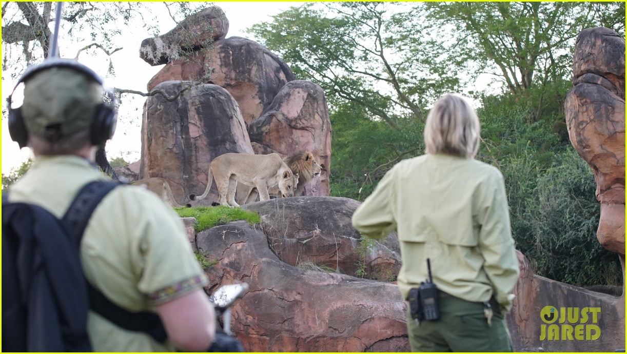 disney plus to take fans behind the scenes of animal kingdom 16.