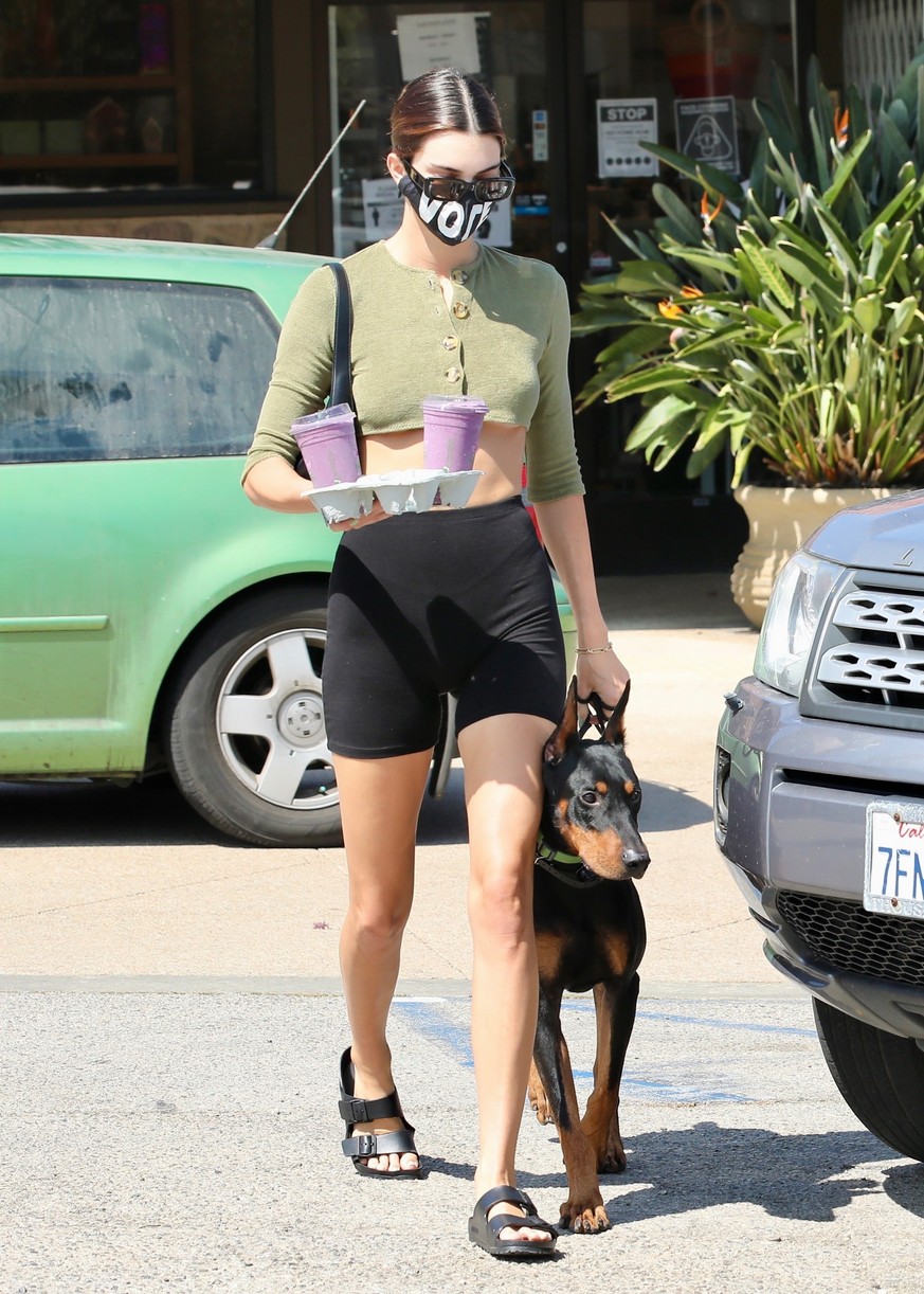 Kendall Jenner Flaunts Custom Staud Purses With Dog Pyro's Portrait
