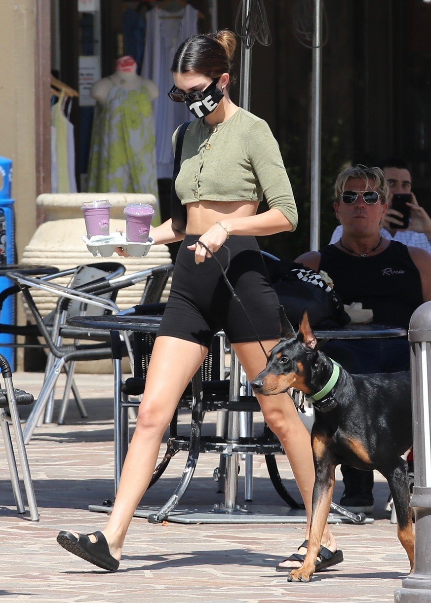 Kendall Jenner Brings Dog Pyro On a Juice Run With Her | Photo 1298795 ...