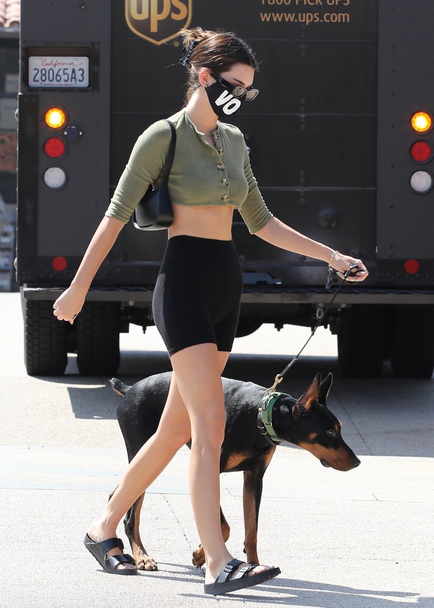 Kendall Jenner Brings Dog Pyro On a Juice Run With Her | Photo 1298798 ...