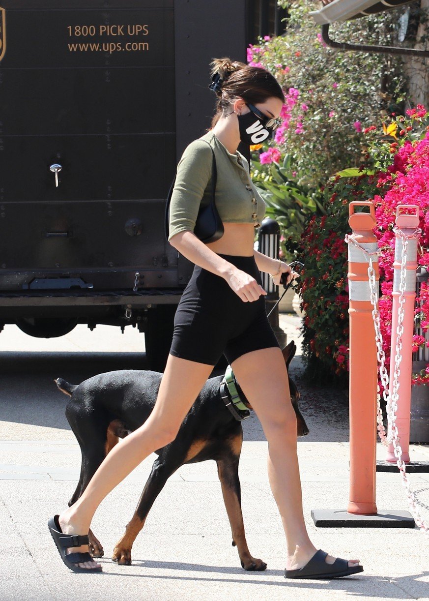 Kendall Jenner Brings Dog Pyro On a Juice Run With Her | Photo 1298799 ...