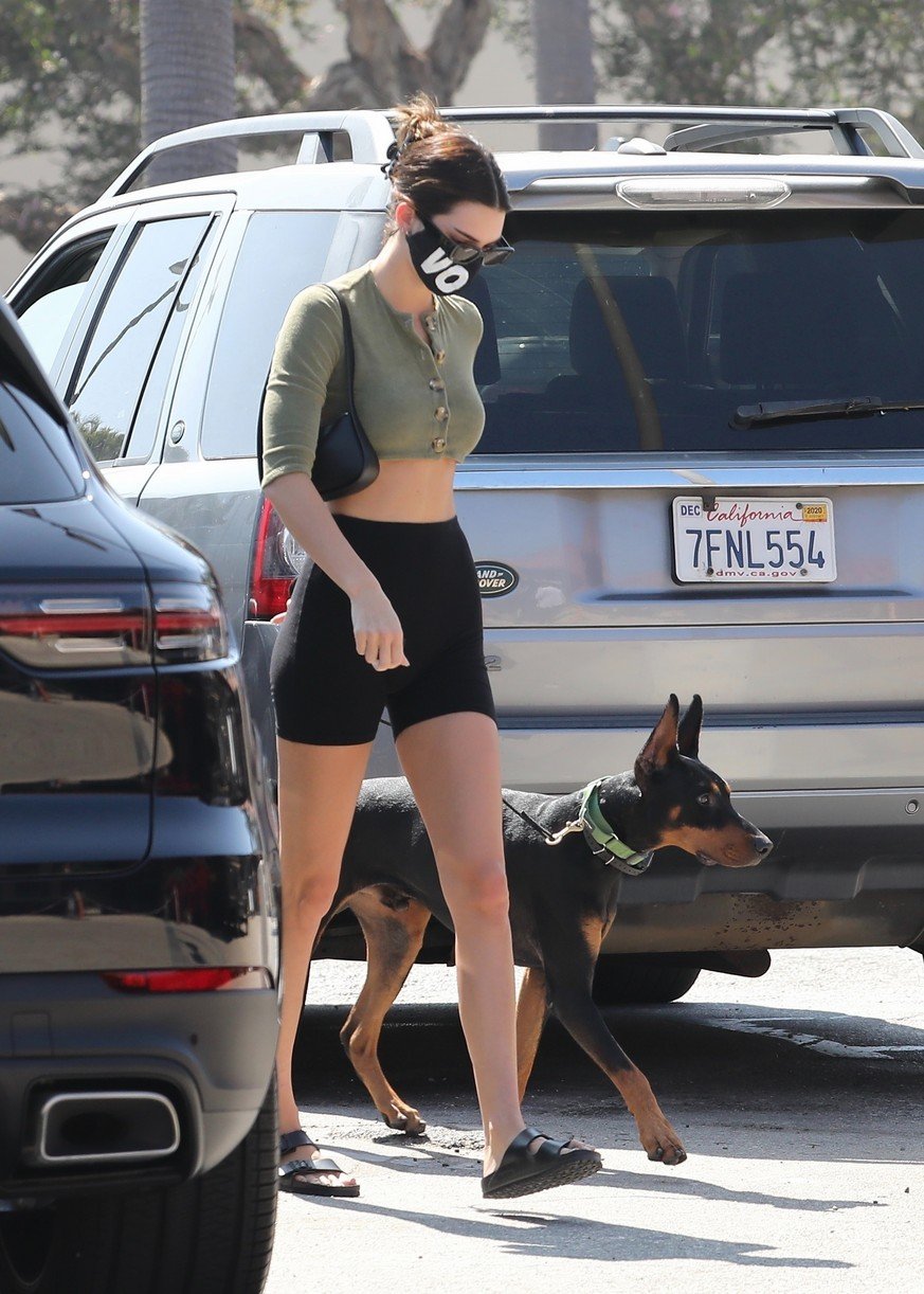 Kendall Jenner Brings Dog Pyro On a Juice Run With Her | Photo 1298806 ...