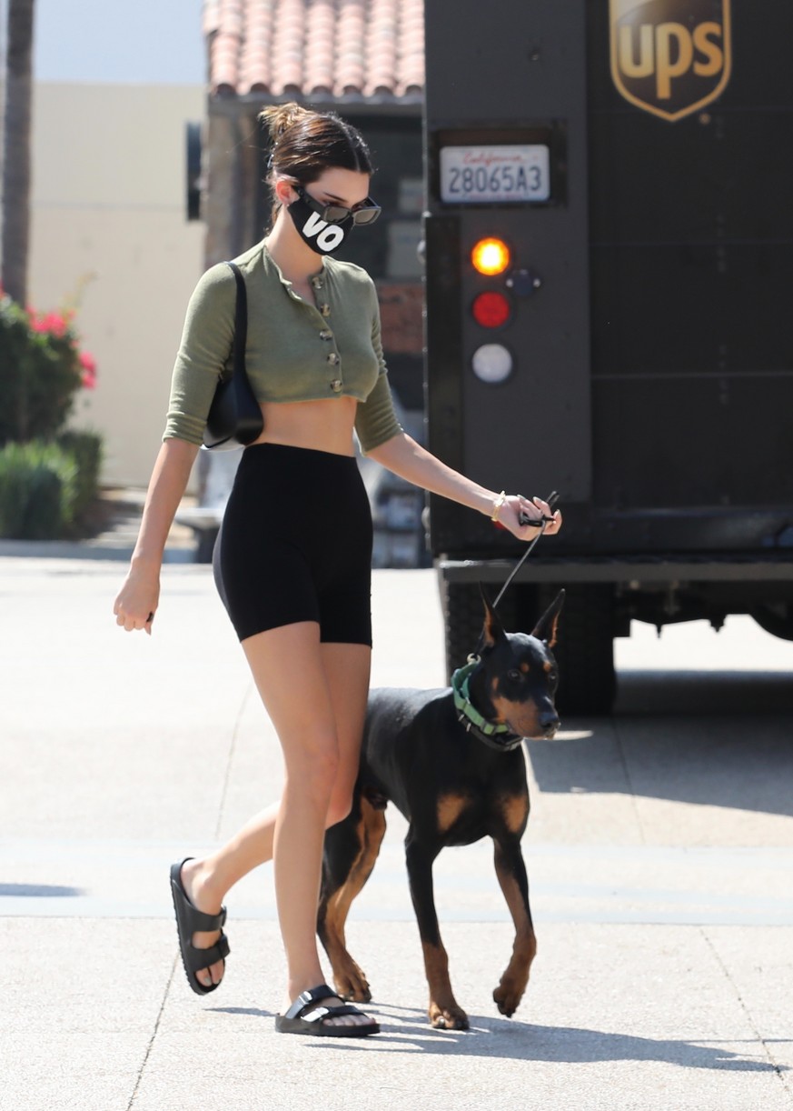 Kendall Jenner Brings Dog Pyro On a Juice Run With Her | Photo 1298810 ...