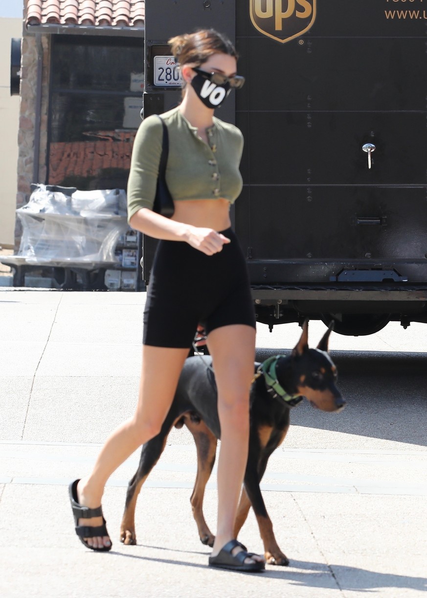 Kendall Jenner Brings Dog Pyro On a Juice Run With Her | Photo 1298811 ...