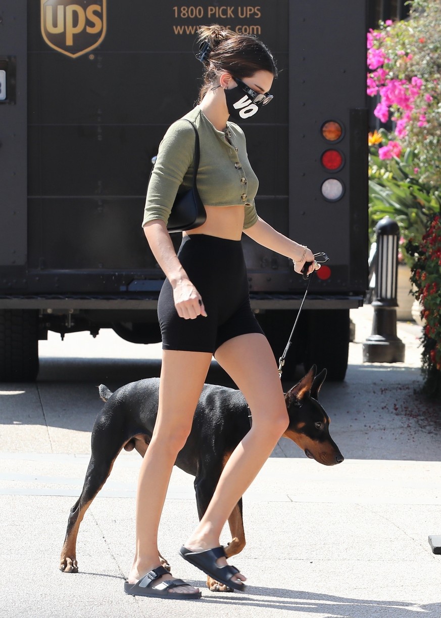 Kendall Jenner Brings Dog Pyro On a Juice Run With Her | Photo 1298814 ...