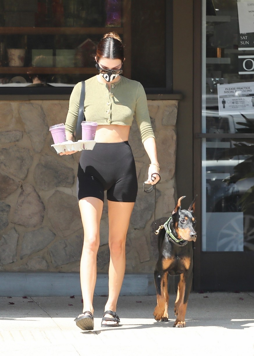 Kendall Jenner Brings Dog Pyro On a Juice Run With Her | Photo 1298826 ...