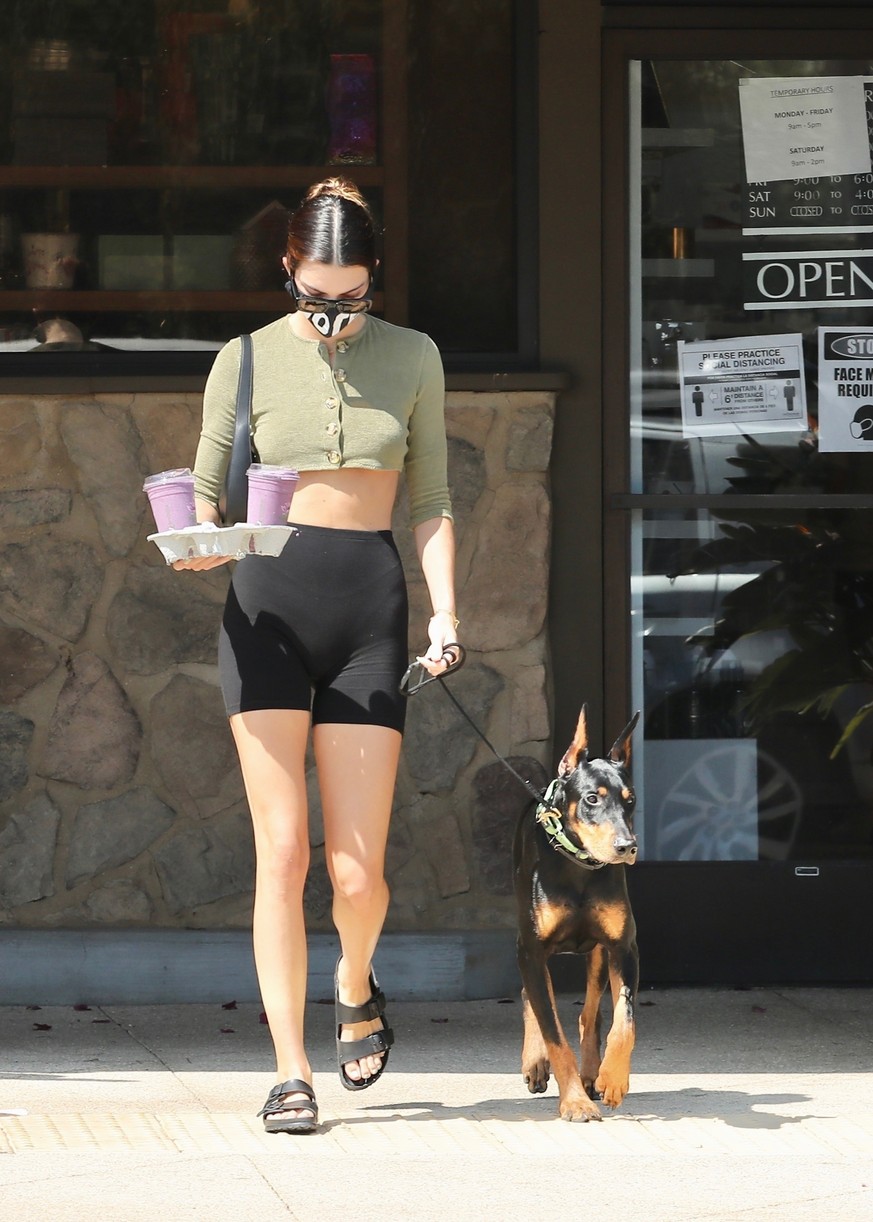 Kendall Jenner Brings Dog Pyro On a Juice Run With Her | Photo 1298828 ...
