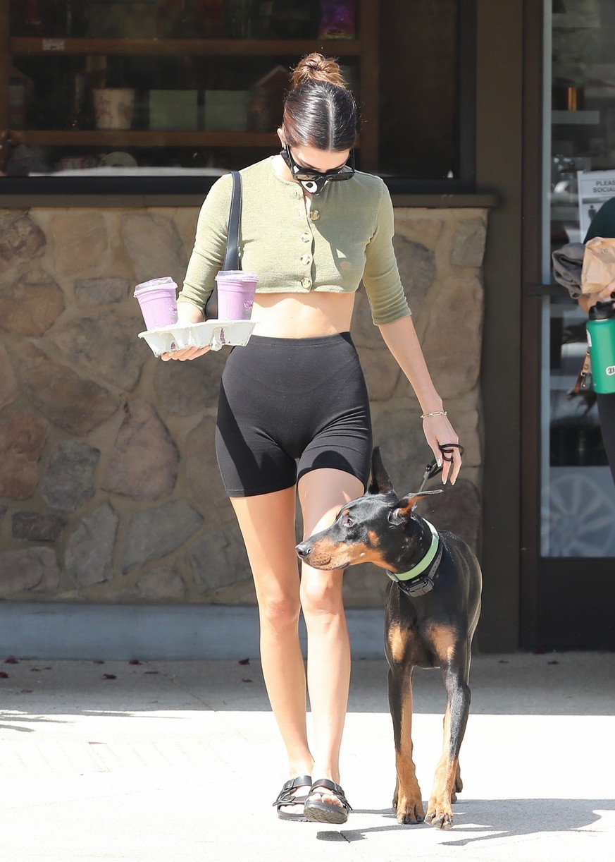 Kendall Jenner Brings Dog Pyro On a Juice Run With Her | Photo 1298830 ...