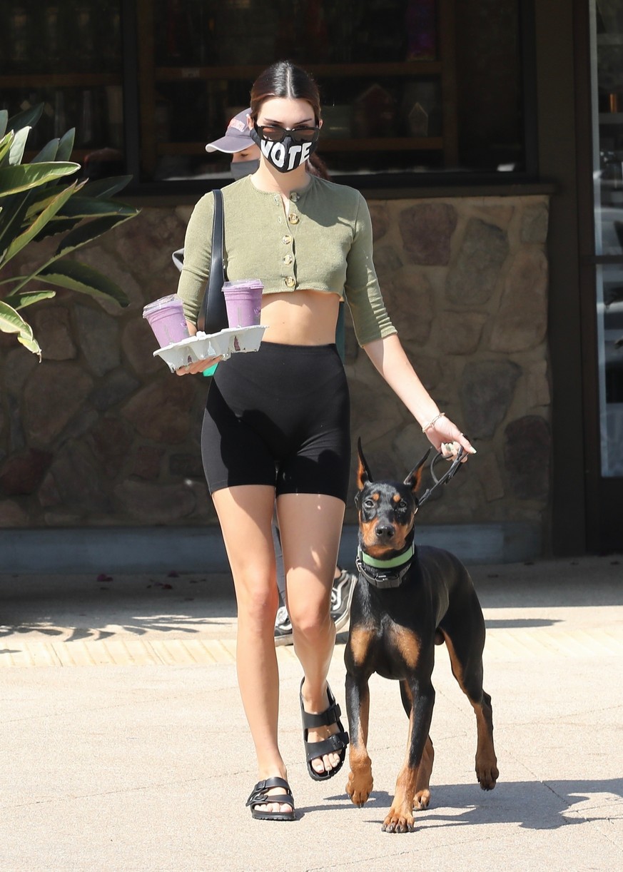 Kendall Jenner Brings Dog Pyro On a Juice Run With Her | Photo 1298832 ...