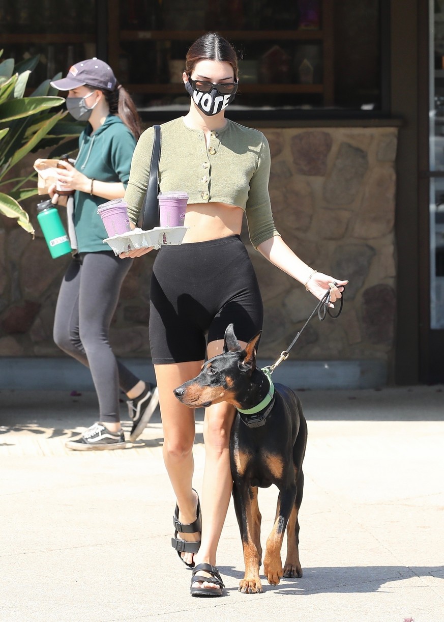 Kendall Jenner Brings Dog Pyro On a Juice Run With Her | Photo 1298835 ...