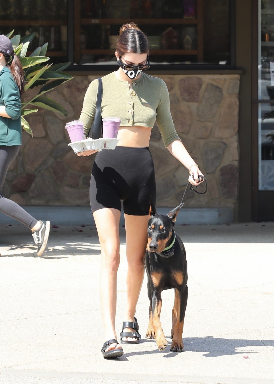 Kendall Jenner Brings Dog Pyro On a Juice Run With Her | Photo 1298837 ...