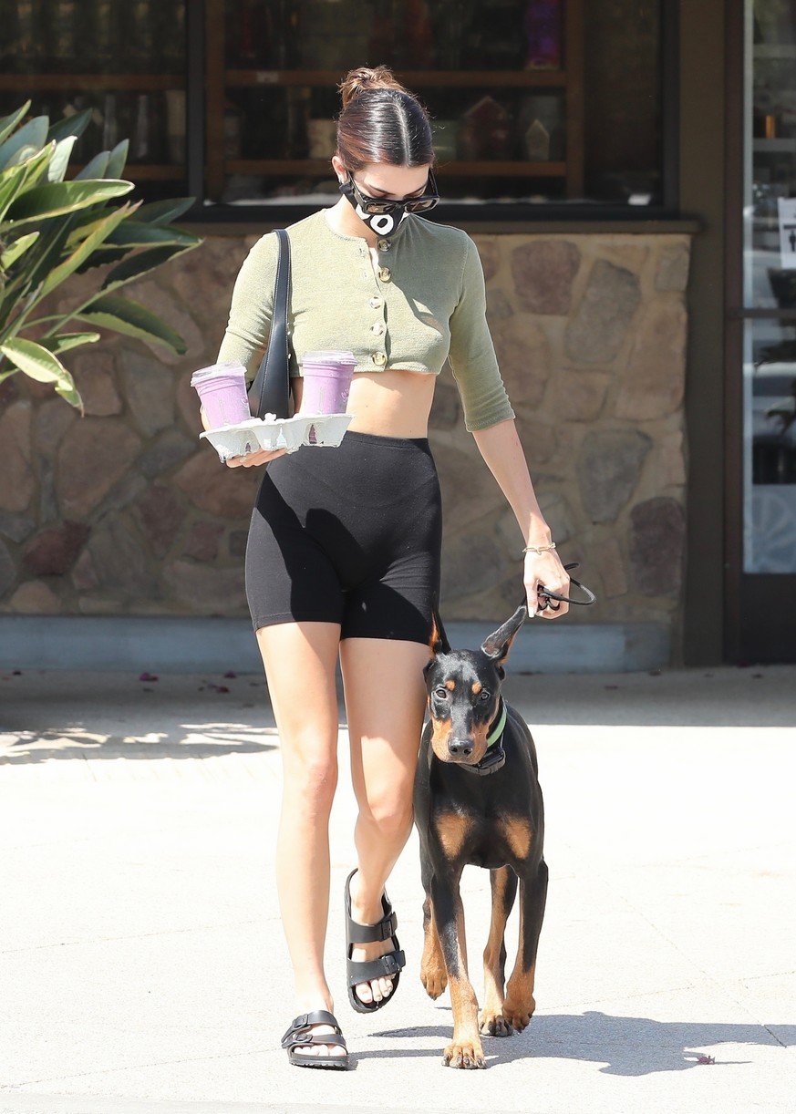 Kendall Jenner Brings Dog Pyro On a Juice Run With Her | Photo 1298838 ...