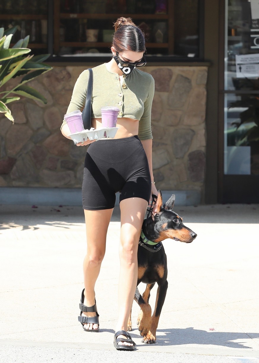 Kendall Jenner Brings Dog Pyro On a Juice Run With Her | Photo 1298839 ...