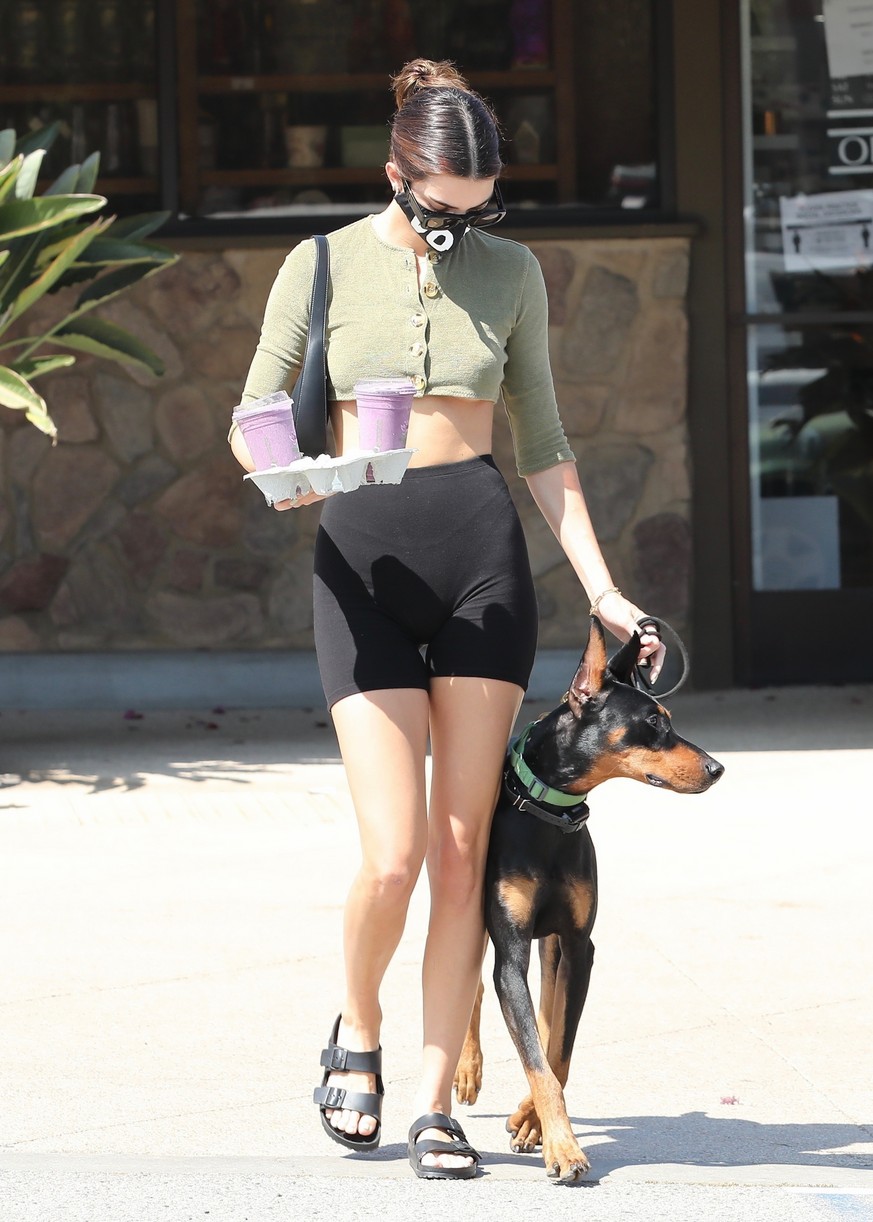 Kendall Jenner Brings Dog Pyro On a Juice Run With Her | Photo 1298840 ...