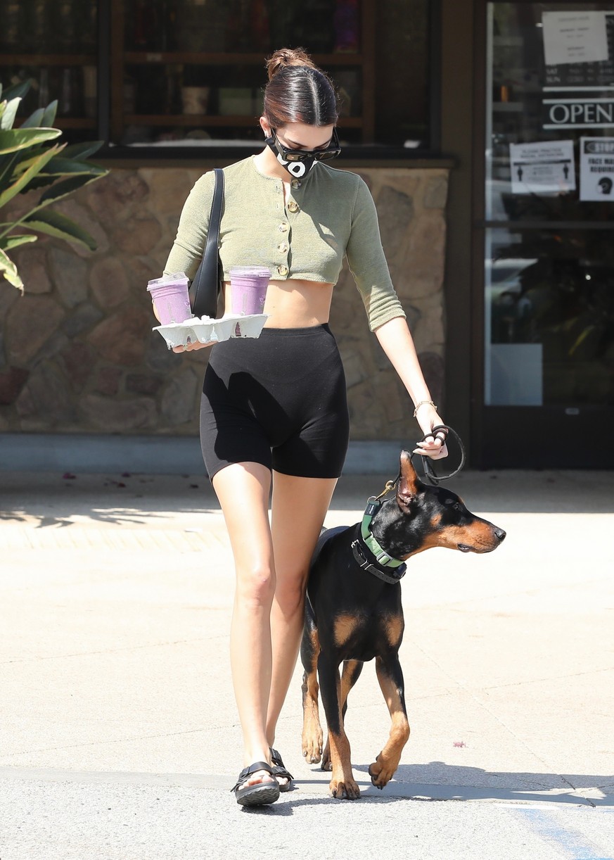 Kendall Jenner Brings Dog Pyro On a Juice Run With Her | Photo 1298841 ...