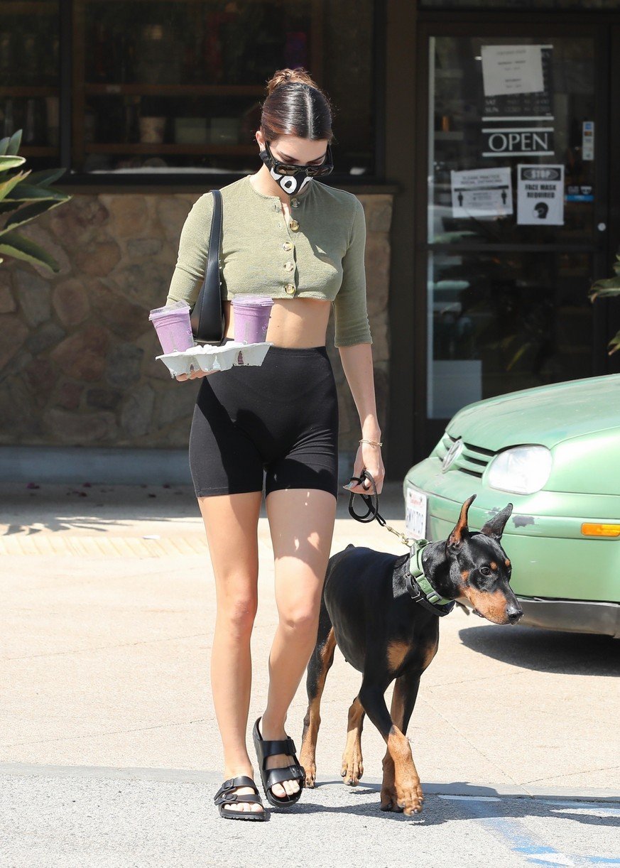 Kendall Jenner Brings Dog Pyro On a Juice Run With Her | Photo 1298842 ...