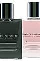david dobrik launches two signature fragrances davids perfume 02