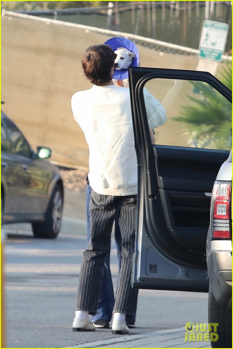 jacob elordi picks up girlfriend kaia gerbers pup from the vet 01