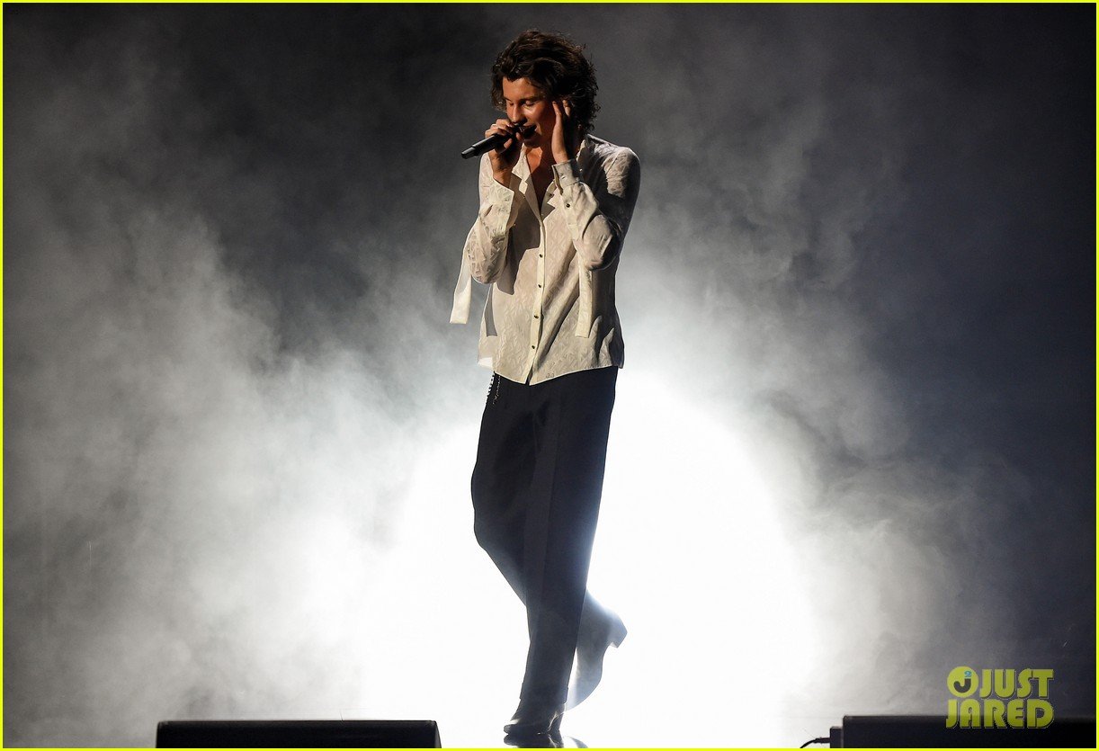 Shawn Mendes Wows With 'Wonder' Performance at American Music Awards