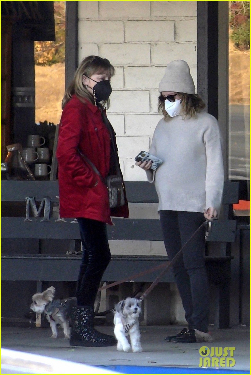 pregnant ashley tisdale takes her dogs while shopping 02
