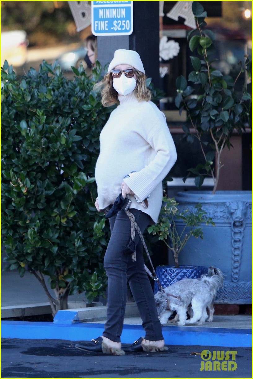 pregnant ashley tisdale takes her dogs while shopping 04