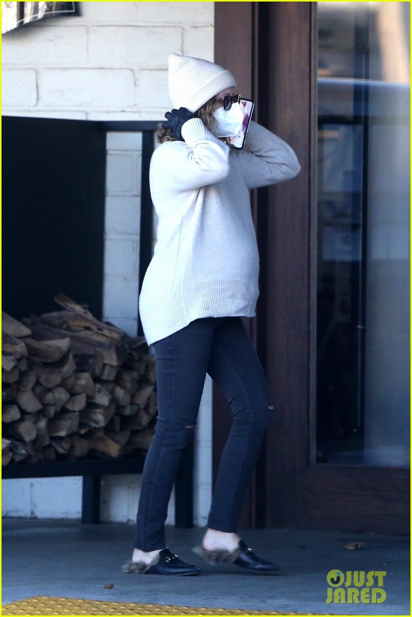 pregnant ashley tisdale takes her dogs while shopping 10