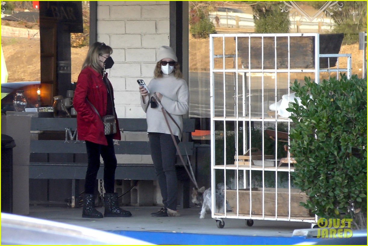 pregnant ashley tisdale takes her dogs while shopping 23