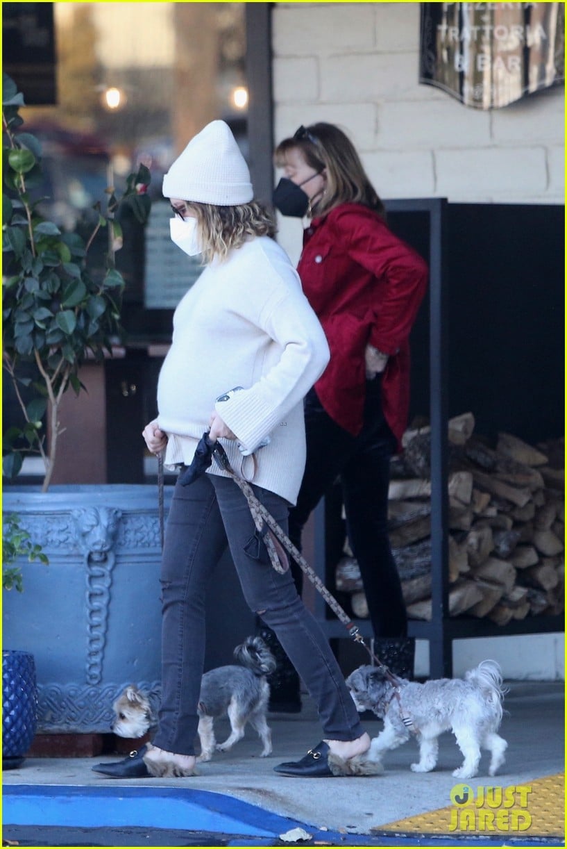 pregnant ashley tisdale takes her dogs while shopping 27
