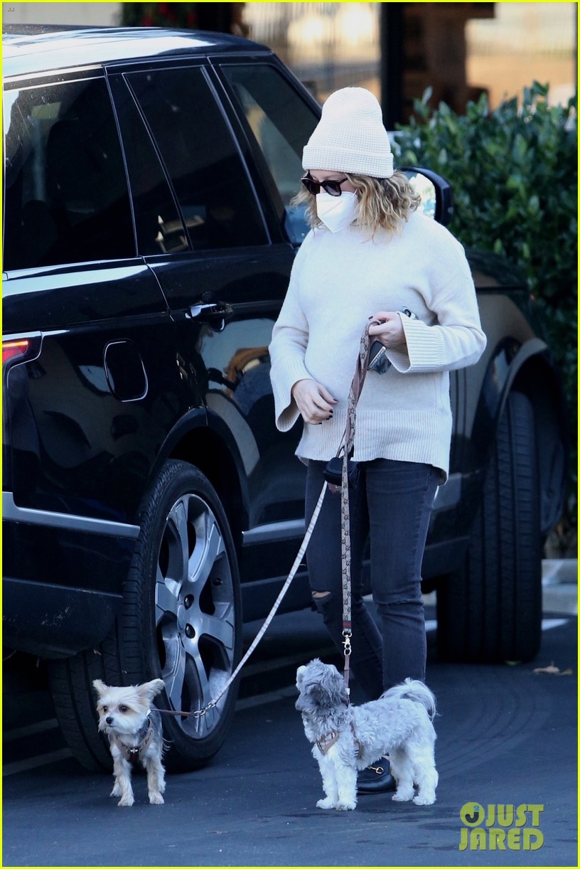 pregnant ashley tisdale takes her dogs while shopping 33