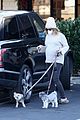 pregnant ashley tisdale takes her dogs while shopping 31