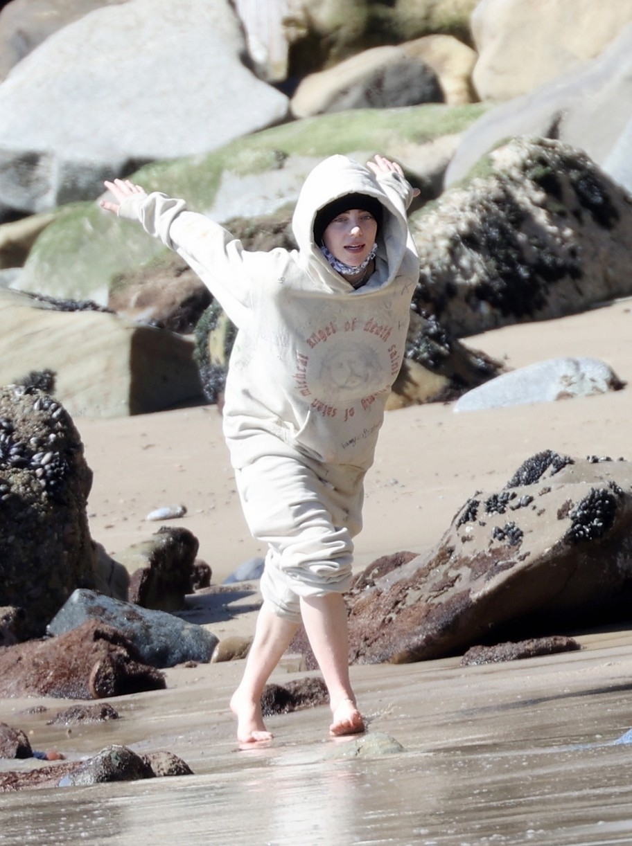 Billie Eilish Hits The Beach With Her Dogs & Brother Finneas in LA