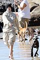billie eilish beach outing with dogs brother 10