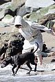 billie eilish beach outing with dogs brother 25