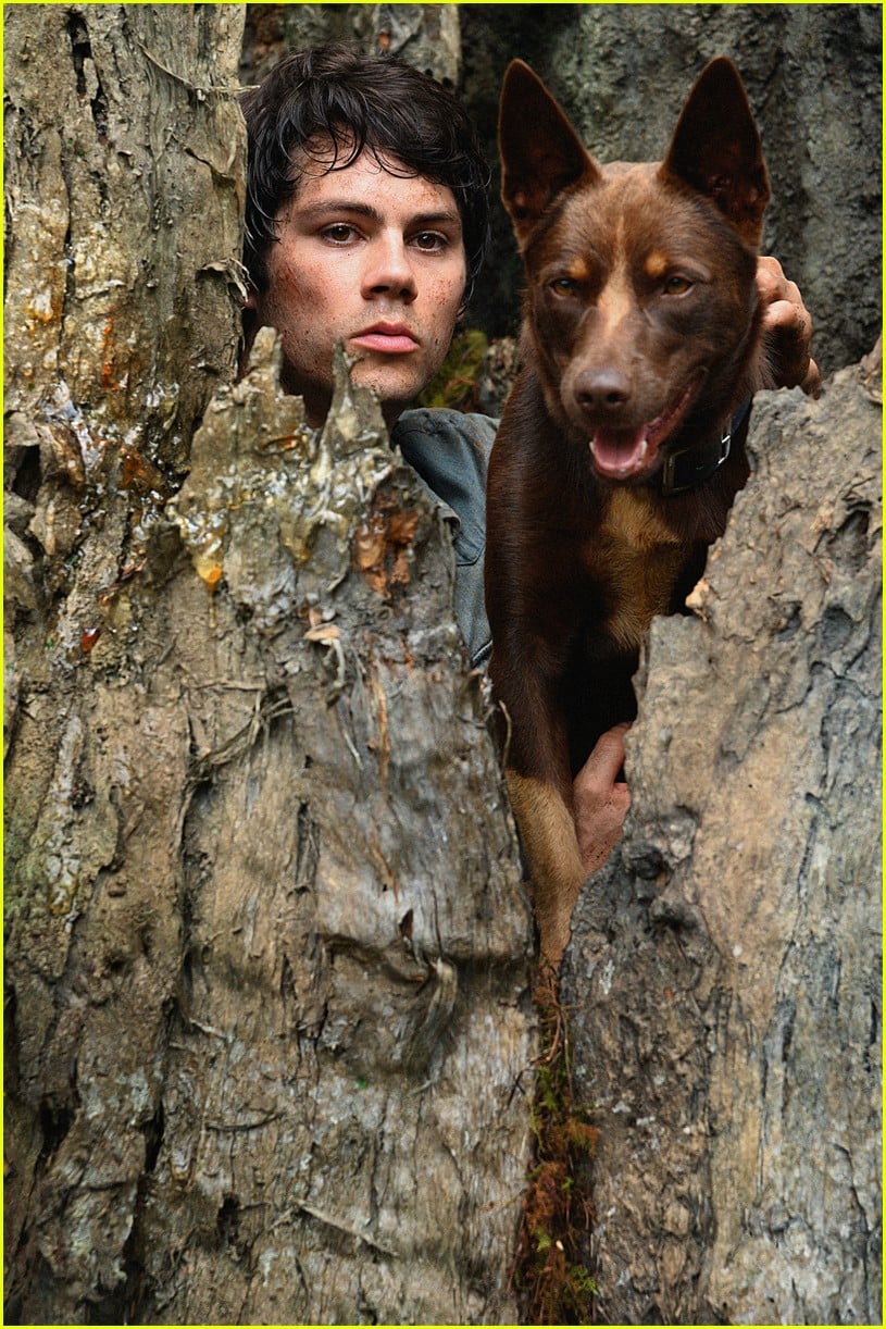 Full Sized Photo of dylan obrien reveals his movie love monsters is