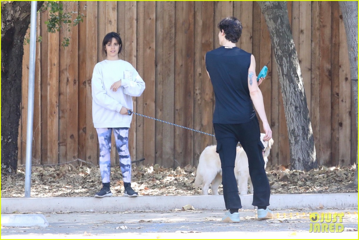 Full Sized Photo of shawn mendes camila cabello hiking with their dog