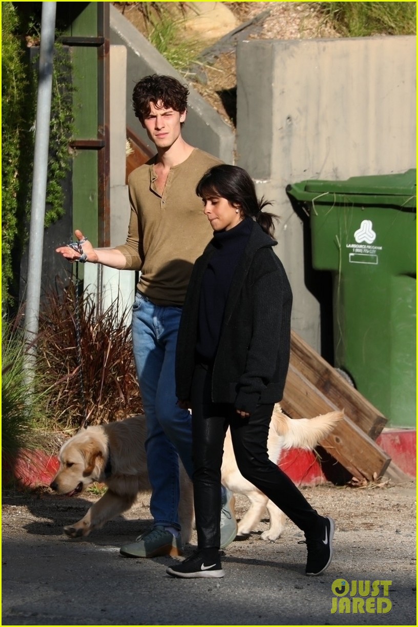 Shawn Mendes & Camila Cabello Keep Close While Walking Their Dog
