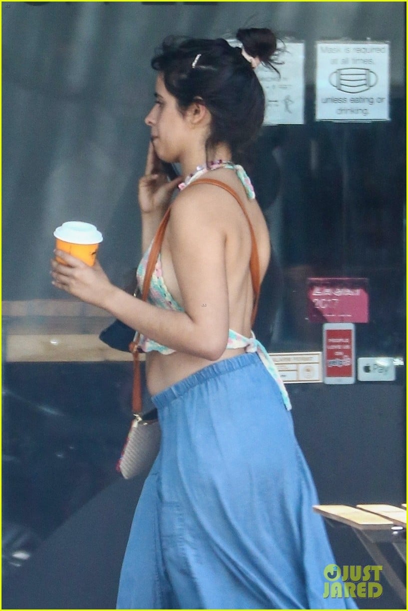 camila cabello shawn mendes vet april 2021 15