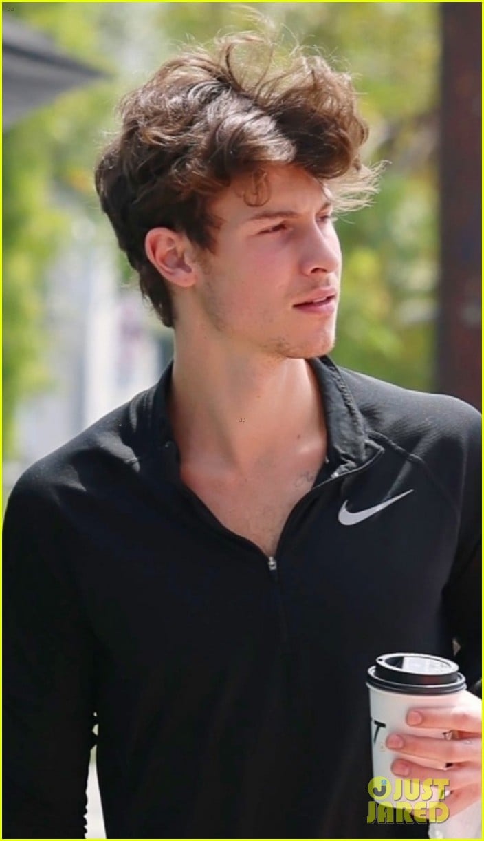 Shawn Mendes Shares Shirtless Video After Morning Workout