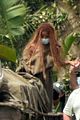 halle bailey little mermaid set photos 19