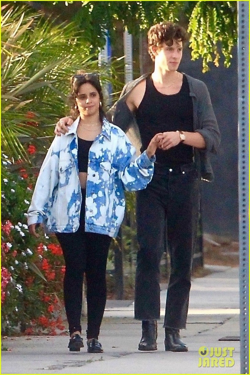 camila cabello shawn mendes hang out with friends 04