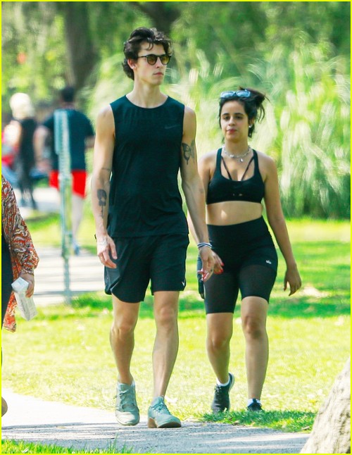 shawn mendes camila cabello look so in love on a stroll in la 01