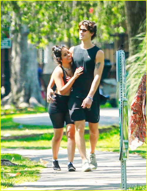 shawn mendes camila cabello look so in love on a stroll in la 10